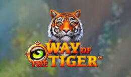 Way Of The Tiger
